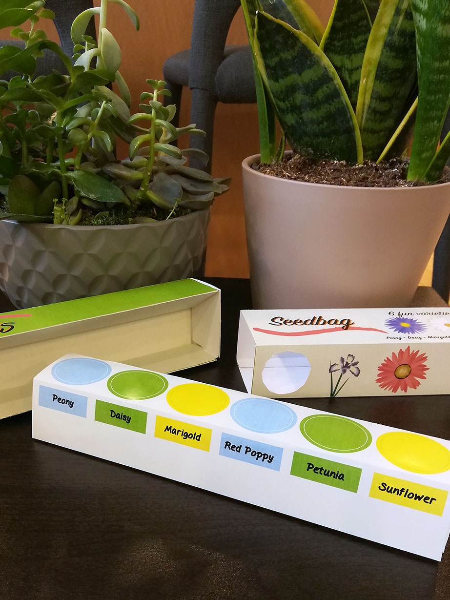 Two plants with three long paper boxes sitting in front. 'Seedbag' is written on the outer shell next to some flower illustrations. Various flower names are labelled on the inner box.